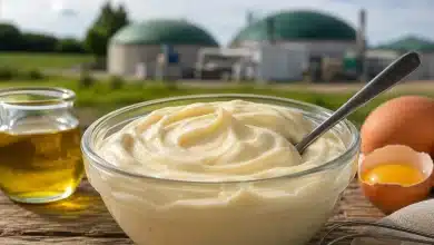 Unilever transforma resíduos de maionese em biogás 2 Unilever transforma resíduos de maionese em biogás