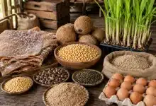 Agropecuária brasileira abre 13 novos mercados