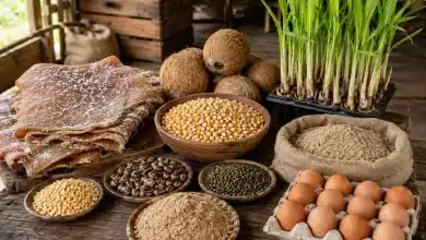 Agropecuária brasileira abre 13 novos mercados