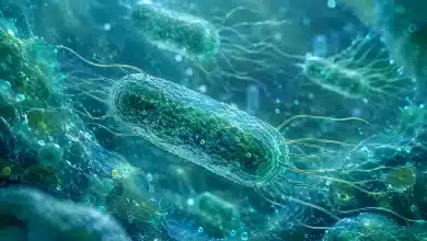 Pseudomonas aeruginosa acende alerta após casos em produtos Crystal e Ypê