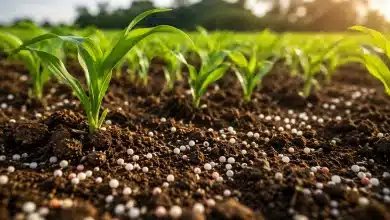 Entregas de fertilizantes crescem 1,6% no primeiro quadrimestre 2 Entregas de fertilizantes crescem 1,6% no primeiro quadrimestre