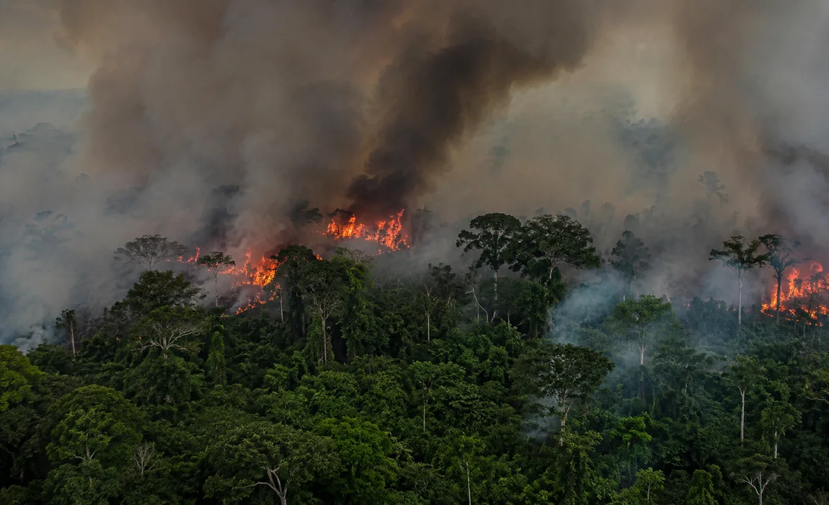 Área queimada no Brasil cai 31% em 2025, diz MapBiomas 