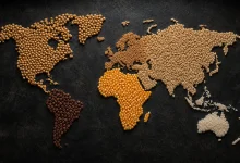 El Niño pode elevar preços globais de alimentos até 2028 8 El Niño pode elevar preços globais de alimentos até 2028