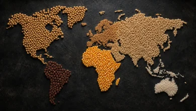 El Niño pode elevar preços globais de alimentos até 2028 3 El Niño pode elevar preços globais de alimentos até 2028