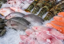 EUA isentam 93,6% do valor exportado em 2026 de pescados brasileiros