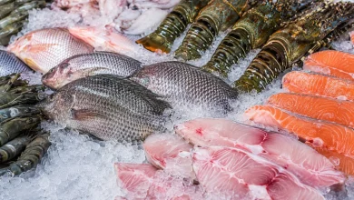 EUA isentam 93,6% do valor exportado em 2026 de pescados brasileiros 2 EUA isentam 93,6% do valor exportado em 2026 de pescados brasileiros