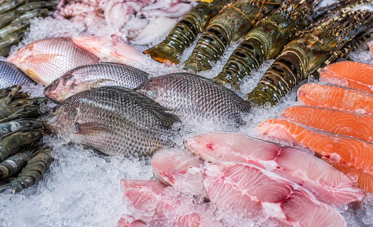 EUA isentam 93,6% do valor exportado em 2026 de pescados brasileiros 2 EUA isentam 93,6% do valor exportado em 2026 de pescados brasileiros