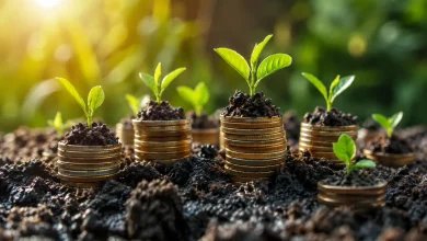 UNICEF lança Aliança Empregos Verdes para economia sustentável 3 UNICEF lança Aliança Empregos Verdes para economia sustentável
