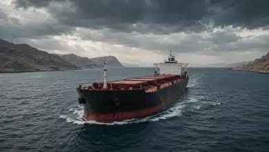 Tensão entre EUA e Irã reduz fluxo de navios no Estreito de Ormuz 2 Tensão entre EUA e Irã reduz fluxo de navios no Estreito de Ormuz