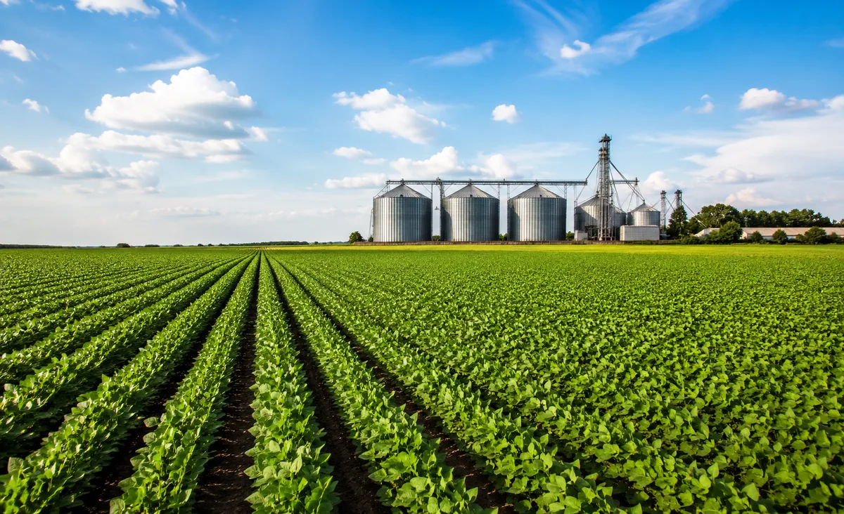 Safra agrícola deve alcançar 347,4 milhões de toneladas em 2026 2 Safra agrícola deve alcançar 347,4 milhões de toneladas em 2026