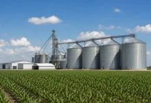 Brasil pode superar EUA e liderar como maior exportador agrícola