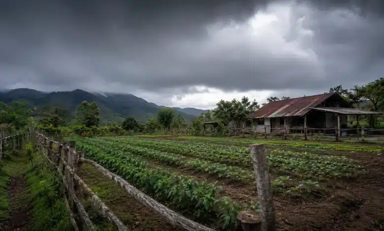 Projeto cria regime especial de sanções ambientais para pequenos produtores