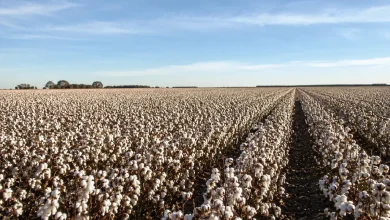 Projeto isenta agropecuária de corte em incentivos tributários