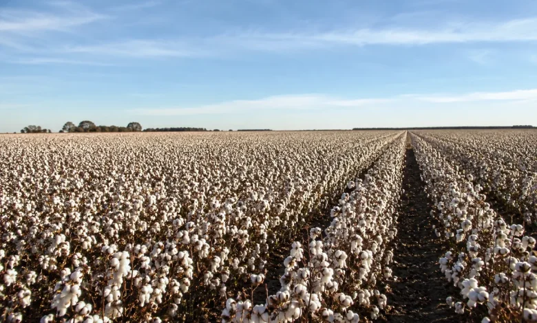 Projeto isenta agropecuária de corte em incentivos tributários