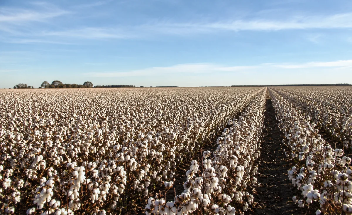 Projeto isenta agropecuária de corte em incentivos tributários 2 Projeto isenta agropecuária de corte em incentivos tributários
