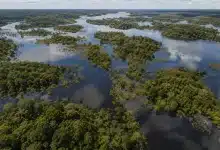 Amazônia recupera superfície de água em 2025, mas Brasil mantém alerta hídrico