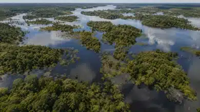 Amazônia recupera superfície de água em 2025, mas Brasil mantém alerta hídrico