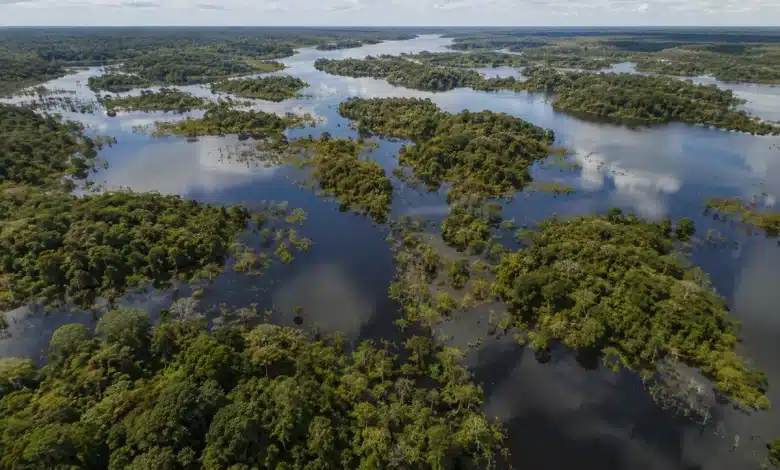 Amazônia recupera superfície de água em 2025, mas Brasil mantém alerta hídrico