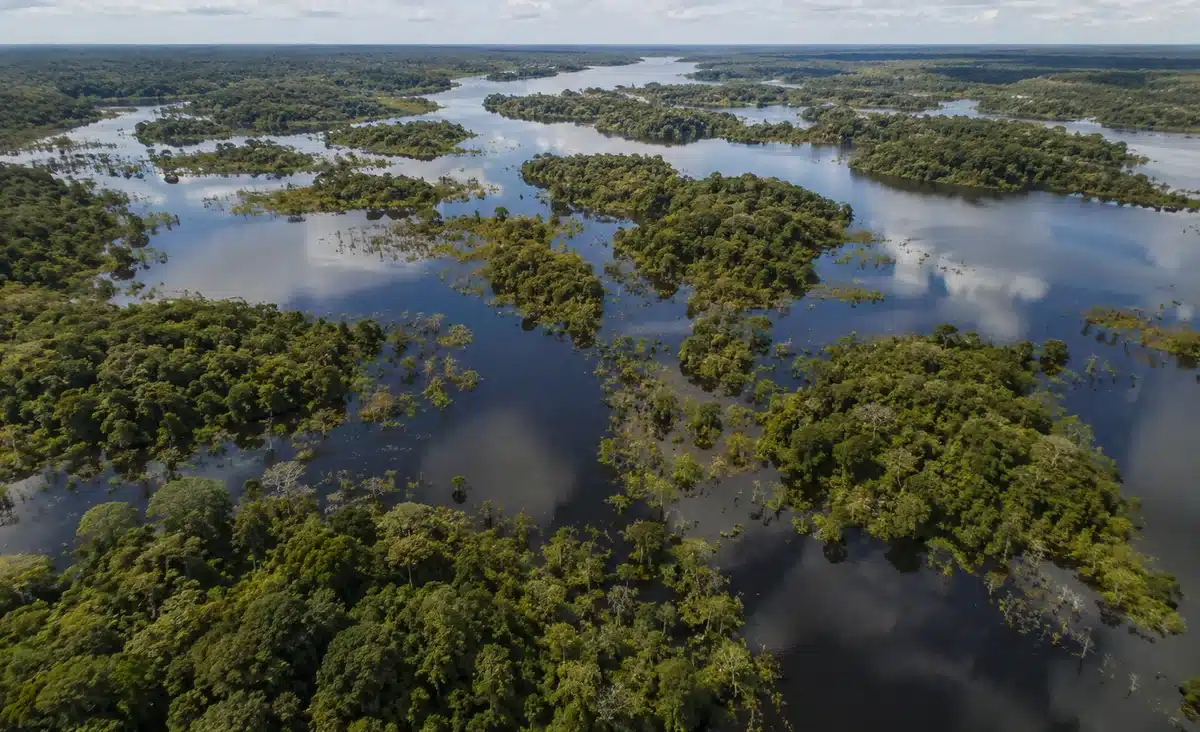 Amazônia recupera superfície de água em 2025, mas Brasil mantém alerta hídrico 2 Amazônia recupera superfície de água em 2025, mas Brasil mantém alerta hídrico