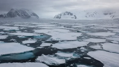 Trump retira apoio ao relatório ambiental do Ártico 2 Trump retira apoio ao relatório ambiental do Ártico