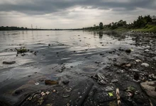 Estudo aponta contaminação química em todos os corpos d'água da Inglaterra
