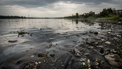 Estudo aponta contaminação química em todos os corpos d'água da Inglaterra