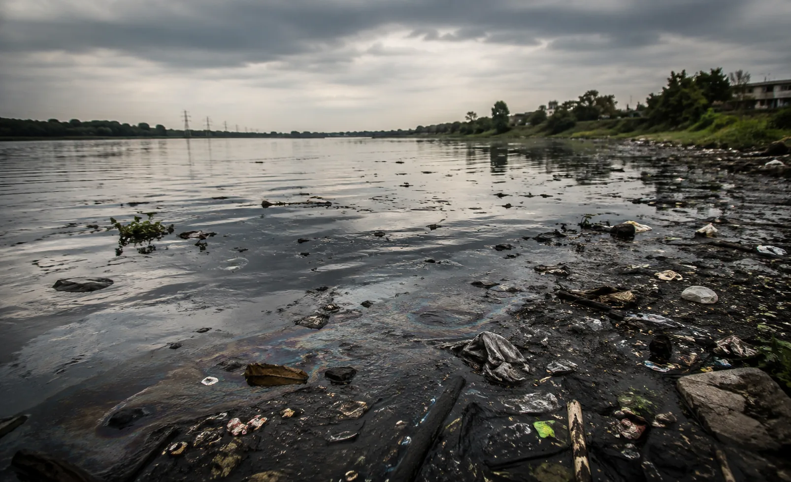 Estudo aponta contaminação química em todos os corpos d'água da Inglaterra 2 Estudo aponta contaminação química em todos os corpos d'água da Inglaterra