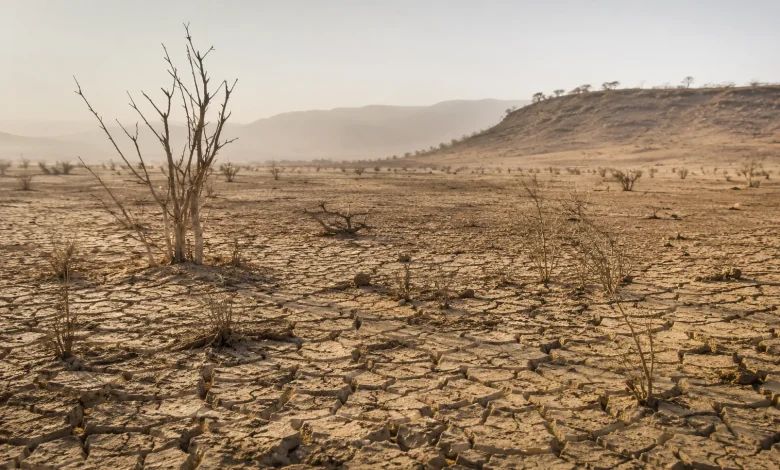 Desertificação no Brasil ameaça segurança hídrica e alimentar 1 Desertificação no Brasil ameaça segurança hídrica e alimentar