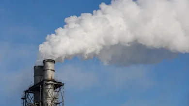 Brasil reúne 37 soluções para reduzir emissões de metano 2 Brasil reúne 37 soluções para reduzir emissões de metano