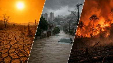 Mudanças climáticas já afetam planos de 58% dos jovens 3 Mudanças climáticas já afetam planos de 58% dos jovens