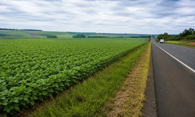 Projeto autoriza cultivo em margens de rodovias