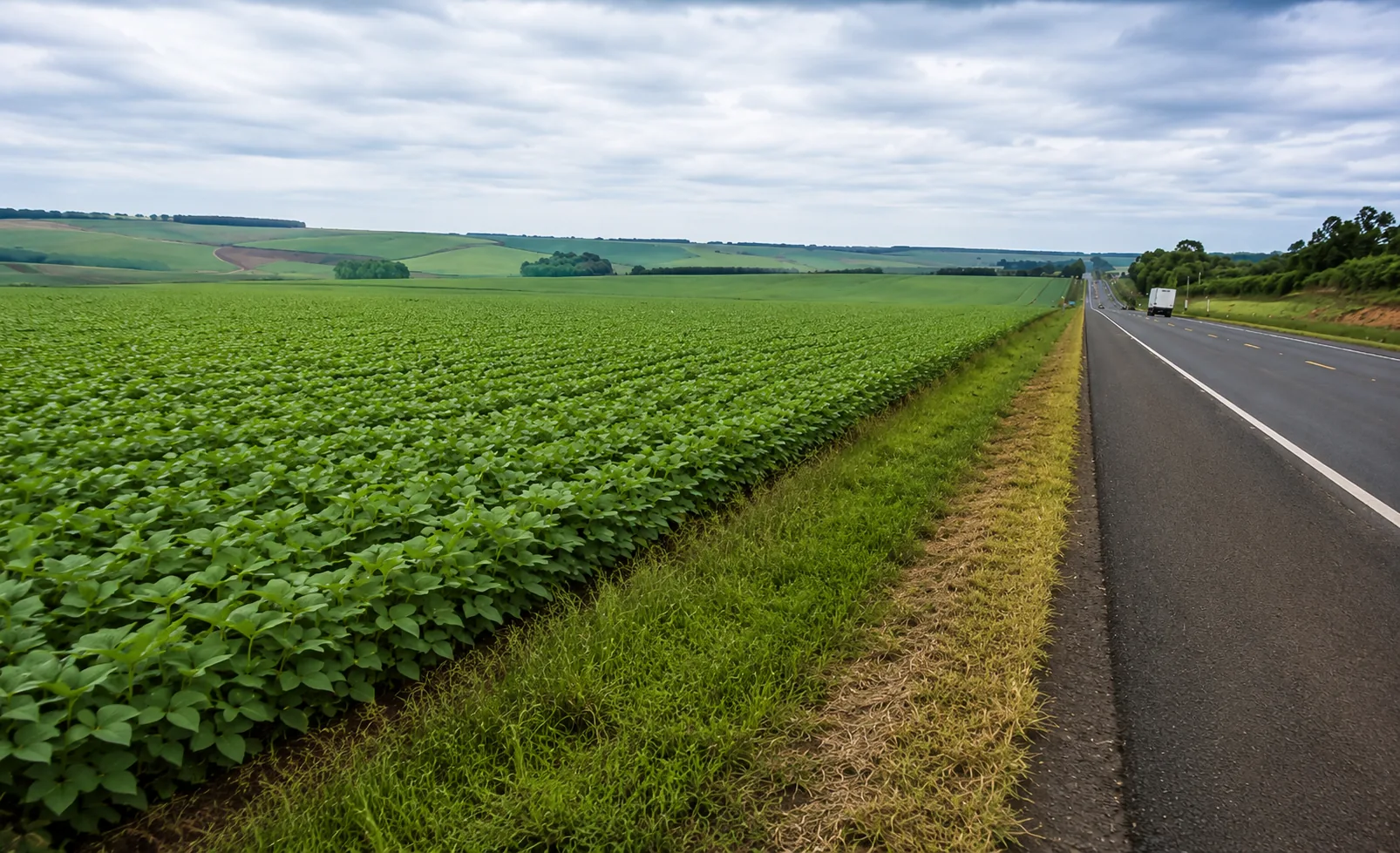 Projeto autoriza cultivo em margens de rodovias 2 Projeto autoriza cultivo em margens de rodovias