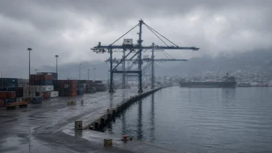 Exportações do Brasil aos EUA já caíram 12,2% em 2026 2 Exportações do Brasil aos EUA já caíram 12,2% em 2026