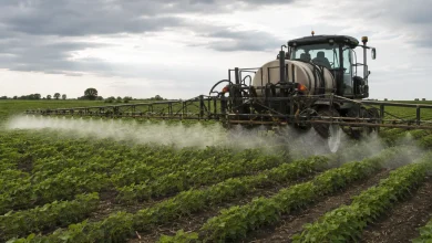 Sete agrotóxicos mais vendidos no Brasil são proibidos na UE 2 Sete agrotóxicos mais vendidos no Brasil são proibidos na UE