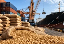 China compra 840 mil toneladas de soja dos Estados Unidos