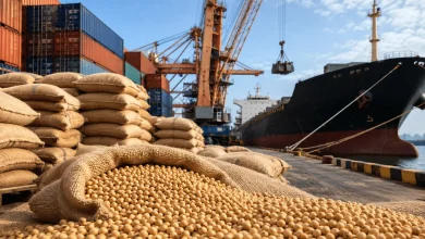 China compra 840 mil toneladas de soja dos Estados Unidos 2 China compra 840 mil toneladas de soja dos Estados Unidos