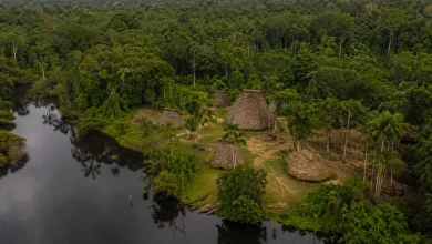 Imazon aponta desmatamento zero em 60% das terras indígenas 2 Imazon aponta desmatamento zero em 60% das terras indígenas