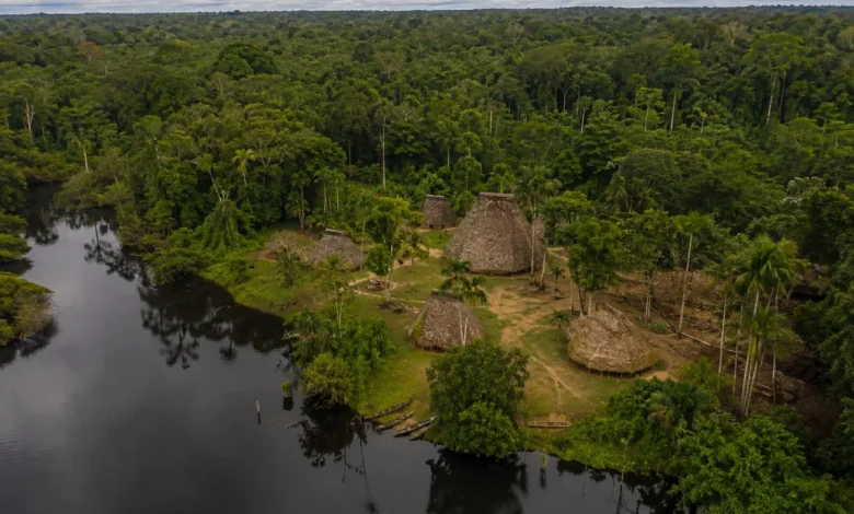 Imazon aponta desmatamento zero em 60% das terras indígenas 1 Imazon aponta desmatamento zero em 60% das terras indígenas