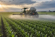Brasil cria programa para fortalecer indústria nacional de fertilizantes