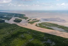 Ibama autoriza três novos poços da Petrobras na Foz do Amazonas