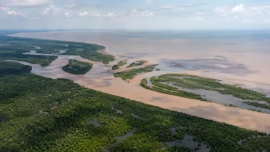 Ibama autoriza três novos poços da Petrobras na Foz do Amazonas 2 Ibama autoriza três novos poços da Petrobras na Foz do Amazonas