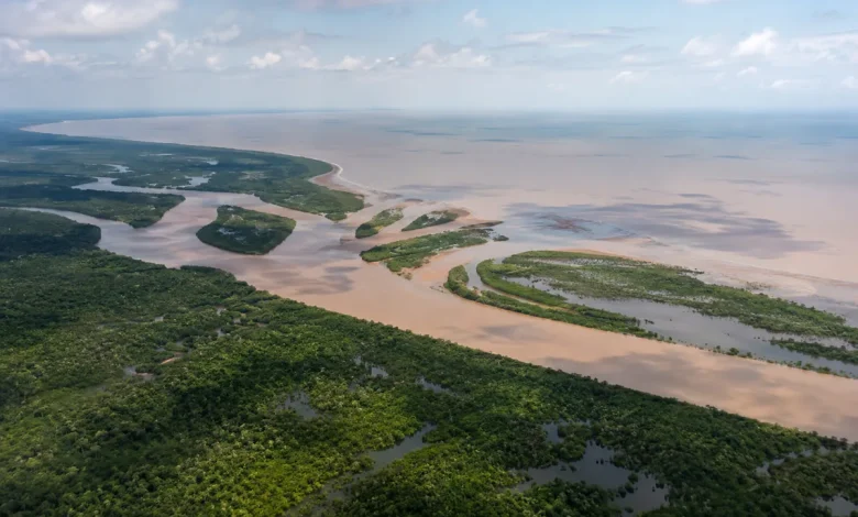 Ibama autoriza três novos poços da Petrobras na Foz do Amazonas
