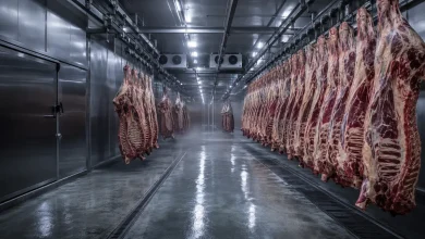 Governo reage com indignação ao veto europeu à carne brasileira 3 Governo reage com indignação ao veto europeu à carne brasileira