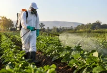 Intoxicação por pesticidas atinge até 46% dos trabalhadores rurais