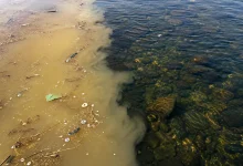 Projeto transforma água poluída em recurso para irrigação na África do Sul 12 Projeto transforma água poluída em recurso para irrigação na África do Sul