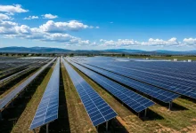 Agronegócio responde por quase 60% da energia renovável do Brasil