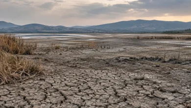 Lago Koroneia perde mais de 90% da área no norte da Grécia 2 Lago Koroneia perde mais de 90% da área no norte da Grécia