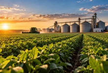 Nova lei atualiza regras do seguro rural no Brasil