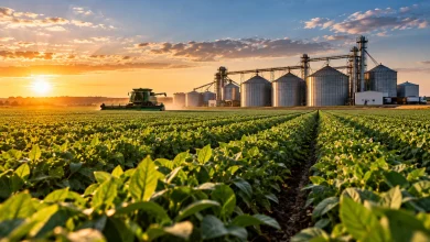 Nova lei atualiza regras do seguro rural no Brasil