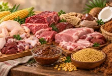 Produtos brasileiros ganham novos mercados na Ásia, África e América
